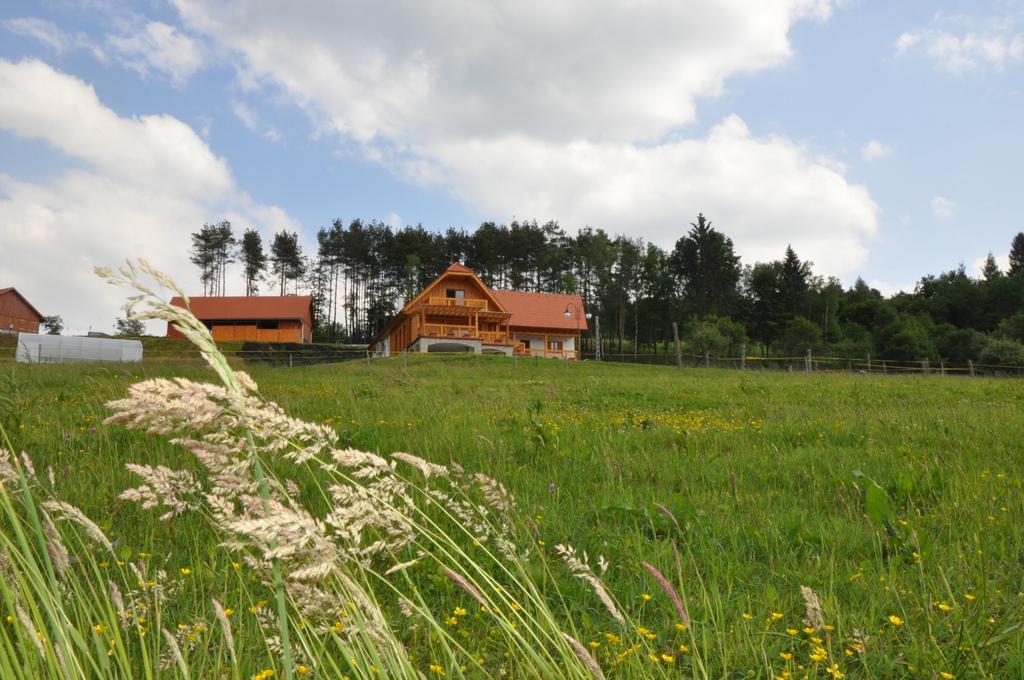 Szloven Mintagazdasag Hotel Felsőszölnök Buitenkant foto